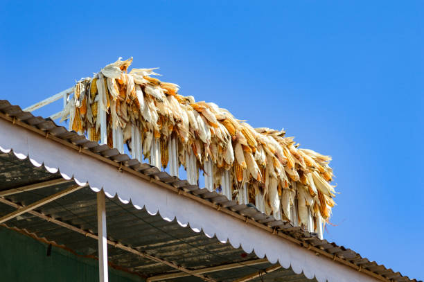 Guardians of the Sky: Bone Dry Roofing’s Unmatched Services